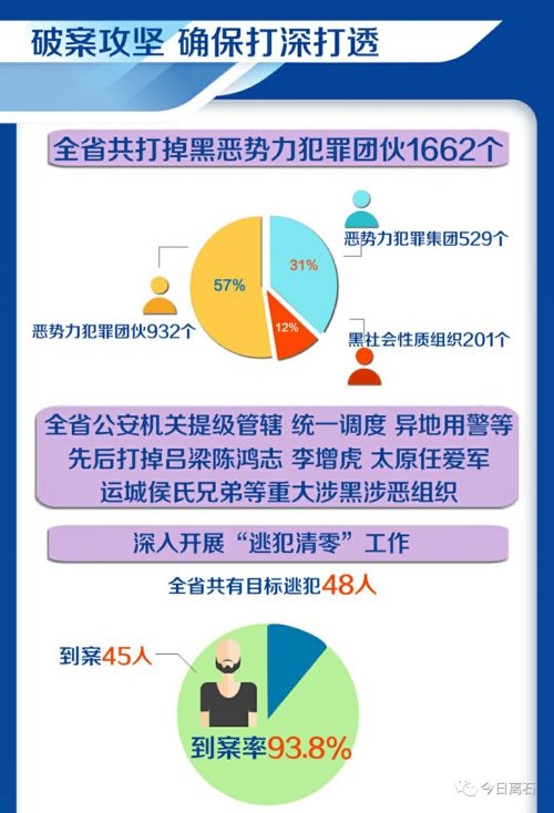 山西扫黑除恶工作成果展 在线数据处理与交易处理业务助力精准打击