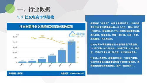 2019年中国社交电商市场数据报告 在线数据处理与交易处理业务的深度解析